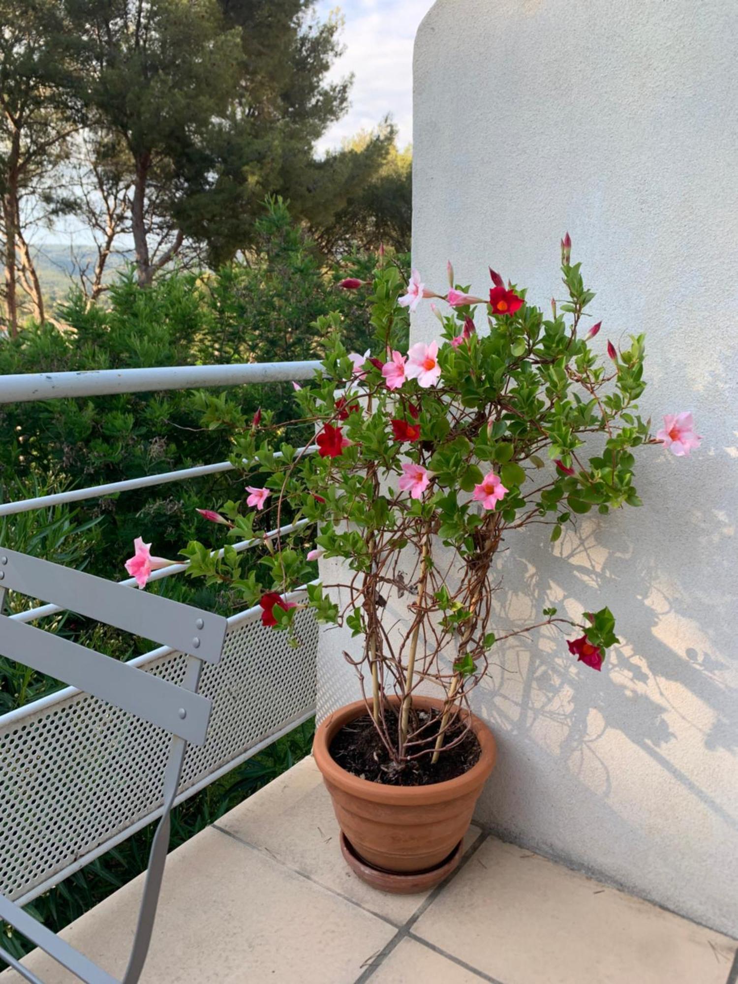 Appartement Duplex La Ciotat Luaran gambar